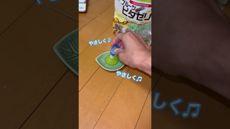 風邪をひいたおばあちゃんハムスター #_shorts #ハムスター