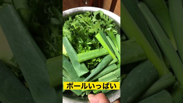 風邪予防の鍋　大根だらけの鍋に葉っぱ類を足す。　ケール、春菊、ネギたっぷりの鍋