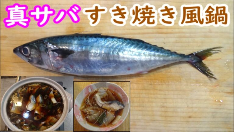 【簡単レシピ】サバすき鍋と美味しい真サバの切身選び方、秋さば～寒サバ＃秋サバ＃サバのレシピ＃サバのレシピ美味しい