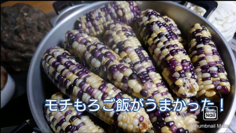 ウマイぞ！もちもろこし