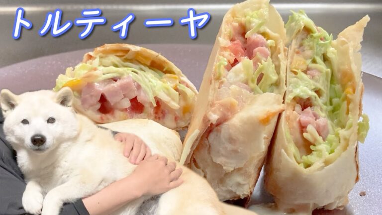 簡単ボリューム満点トルティーヤ＆トルティーヤ柴犬