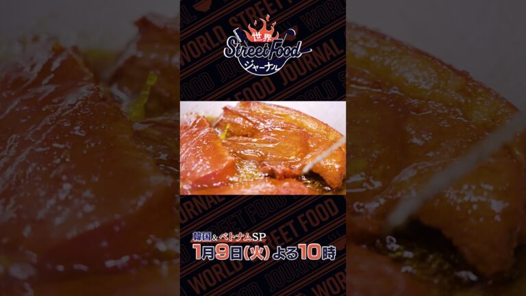 ベトナムの絶品チャーシュー🍖✨『#世界ストリートフードジャーナル』韓国&ベトナムSP #asmr