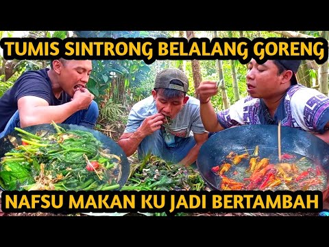 TUMIS SINTRONG BELALANG GORENG PENAMBAH NAFSU MAKAN