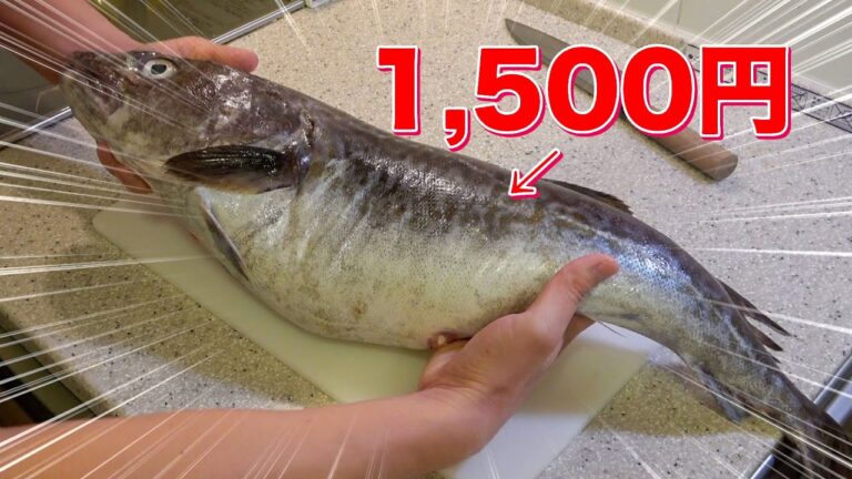 1,500円で買った激安タラが立派過ぎたのでタラ鍋にして家族でいただく