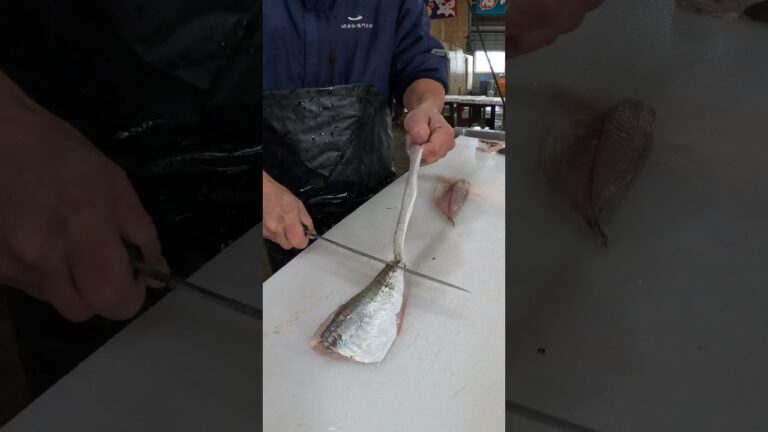 アジお刺身用に捌く