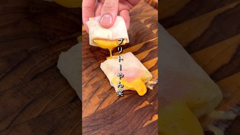 これは完全にブリトーやん(笑)