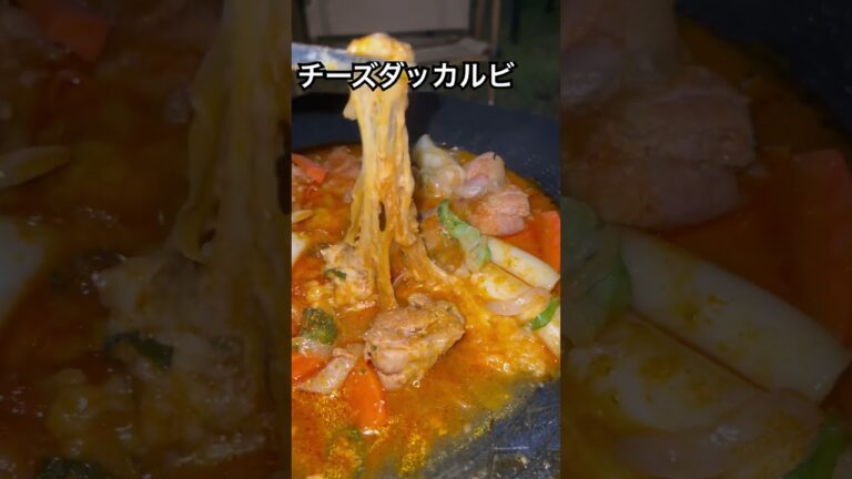 【ノビーるチーズダッカルビ】 簡単キャンプ飯 /マルチグリドル/#camping