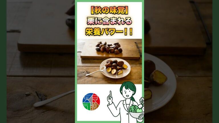 秋の味覚！栗に含まれる栄養パワー！  #shorts #健康 #栄養 #管理栄養士 #秋の味覚 #栗 #ビタミンC #医食同源 #JIDL #栗の渋皮煮