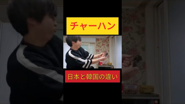 日本と韓国のチャーハンの違い