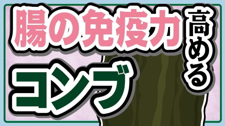 新発見！？昆布(コンブ)で腸の免疫力を高める成分とは？
