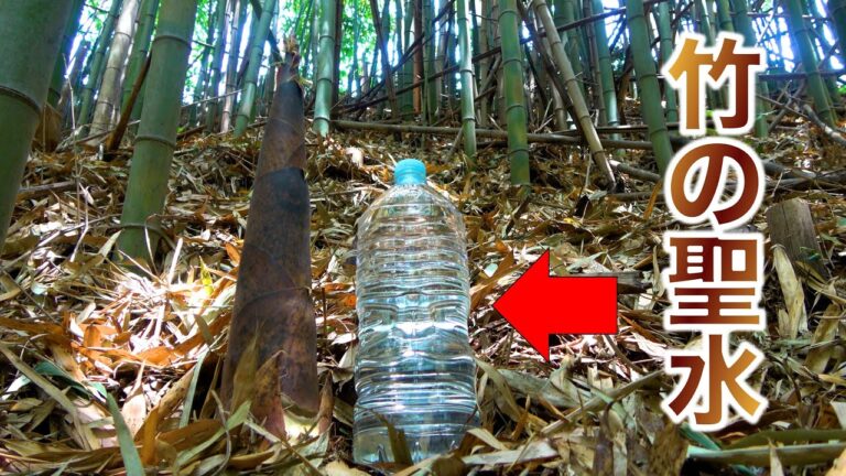 超貴重な真竹の竹水を使ってタケノコ料理を堪能してみたら・・・