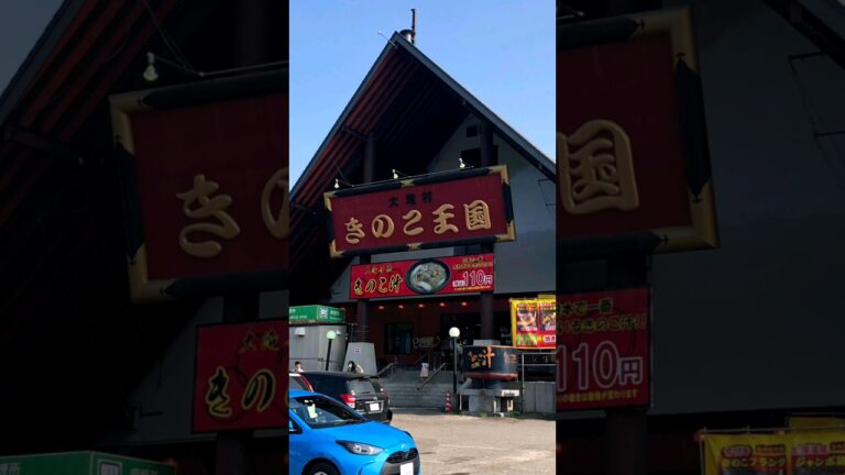 【きのこ王国】コスパ最強のきのこ汁がめちゃうま#きのこ