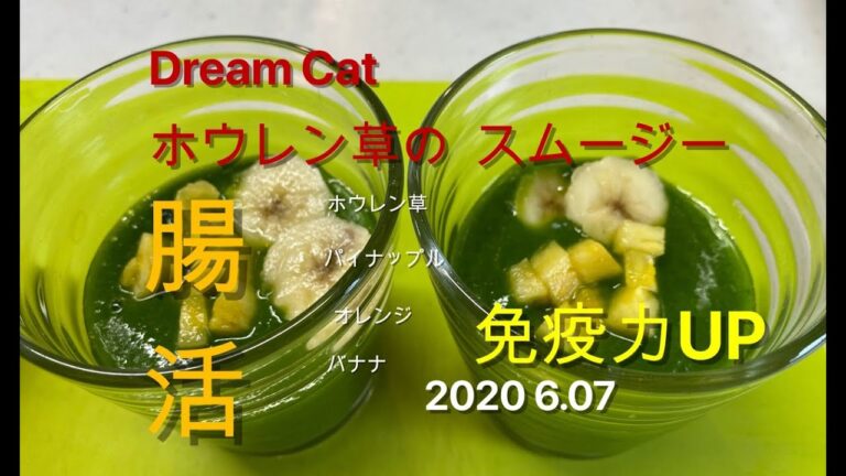 スムージースペシャリストDreamCatのスムージー2020 6.07