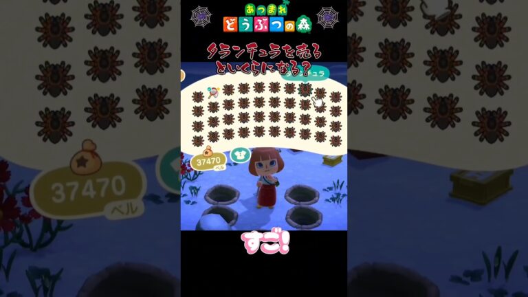 【あつ森】ポケット見たらゾッとしちゃう！タランチュラを売るといくらになる？　#shorts #あつ森  #shortvideo　#タランチュラ