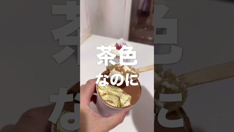 テレビで有名なカップティラミスを忖度なしの正直レビュー！ソウルティラミス