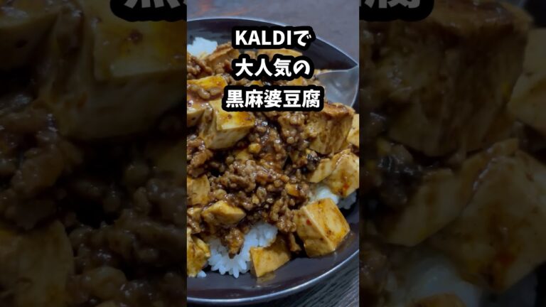 【KALDI】大人気の黒麻婆豆腐【デブ飯】