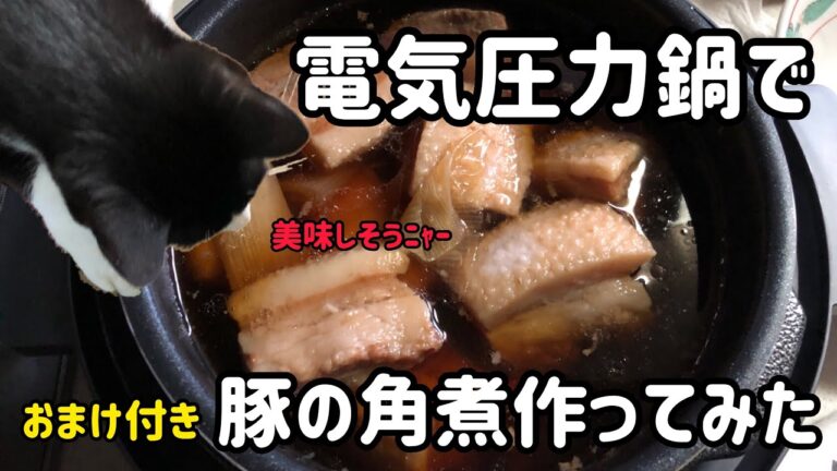 【🔪】電気圧力鍋で初めて角煮作ってみた