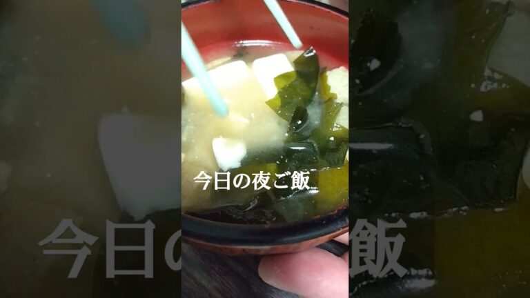 味噌汁 豆腐、油揚げ、ワカメ