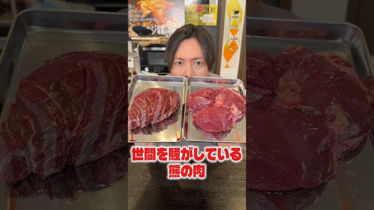 世間を騒がしている熊の肉。実際、美味しいのか料理研究家が検証します！ #shorts #リュウジ #熊肉 #料理 #レシピ #検証 #検証動画