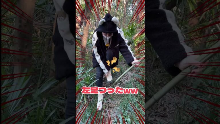 ひきこもりが外に出たらハプニング発生…！！【日常】【たまちゃん】 #Shorts