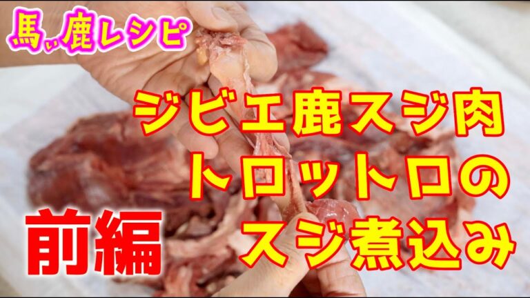 ジビエ鹿スジ肉、トロットロのスジ煮込み