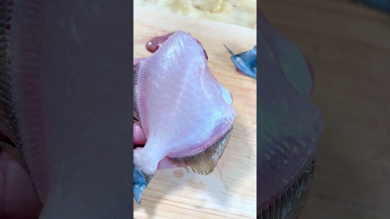 【肝】カワハギの刺身は最高【ASMR】 #shorts