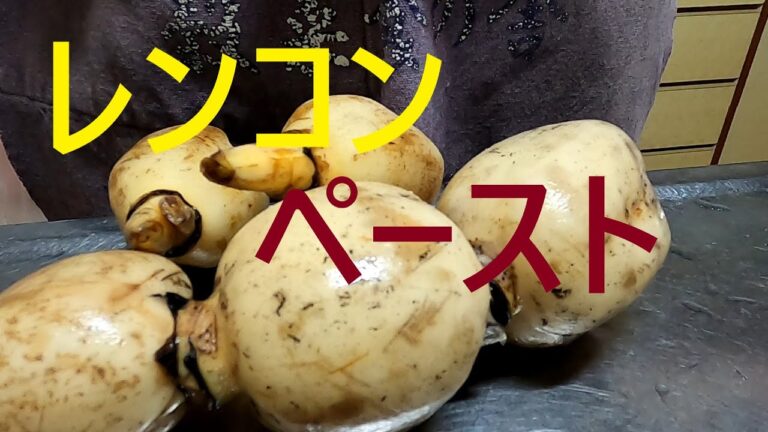 精進料理・レンコンペースト