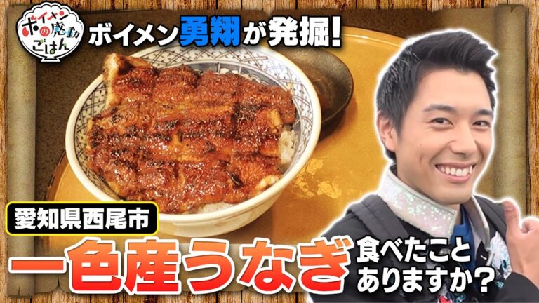 ボイメンの感動ごはん（ゴゴスマ）／6月28日放送／一色産うなぎ／愛知県西尾市