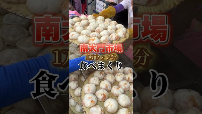 #ソウルグルメ #韓国旅行 #渡韓情報 #韓国グルメおすすめ #韓国ご飯 #オススメ #韓国 #韓国情報 #南大門 #ナンデムンシジャン #食べ歩き #南大門市場