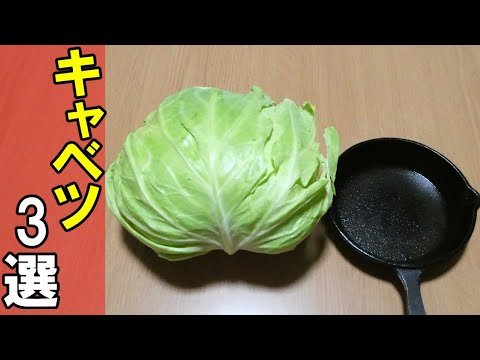 【2023年まとめレシピ】キャベツで簡単！キャンプ飯3選