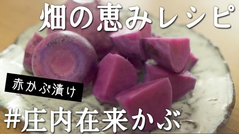 【庄内の冬の伝統食】畑の恵みレシピ 　庄内在来かぶ ～赤かぶ漬け～