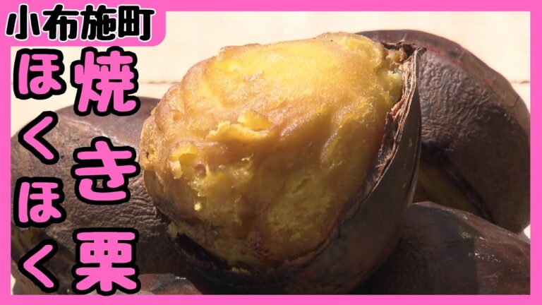 栗の里　観光客を魅了する小布施の焼き栗　100キロの栗があっという間に完売（2023年9月27日放送「news every.」より）