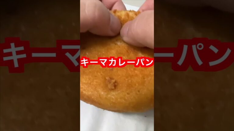 【マジ絶品！！】【キーマカレーパン】が美味すぎた！！