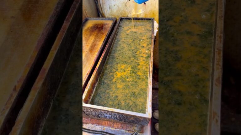 あおさたっぷり🌊たまご焼き🥚 #japanesefood