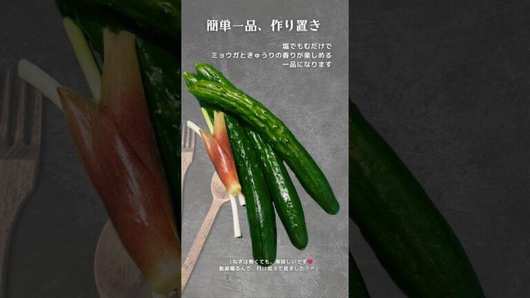 簡単一品　きゅうりとミョウガの塩もみ　 #料理 #一品 #recipe  #cooking  #diet  #ダイエット #vegan #きゅうり #みょうが  #ミョウガ