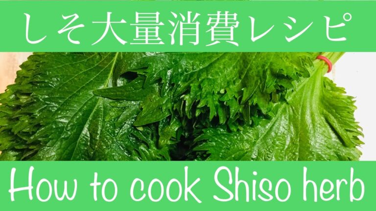 【しそ大量消費】【簡単ビーガンレシピ】中華風漬物 | しそジェノベーゼ