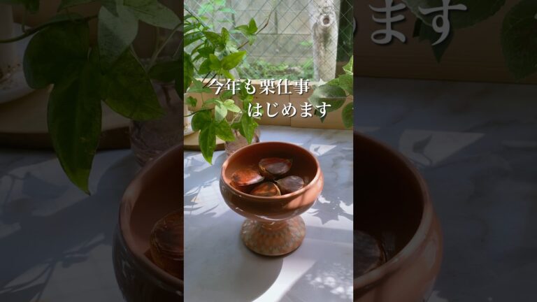 今年も栗仕事🌰栗の効能たっぷり詰め込んだ砂糖不使用スイーツ✨#shorts