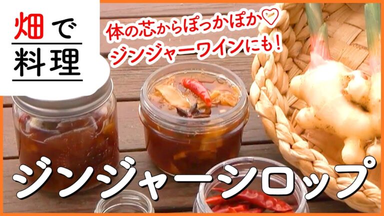 体の芯からぽっかぽか♡ジンジャーシロップの作り方！ホットジンジャーワインにもおすすめ！【シェア畑】【生姜】
