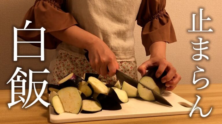 白飯が止まらないおかずで夫のおかわりが止まらなかった節約晩ごはん