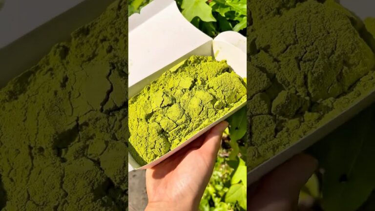 柔らかくてとろとろの抹茶わらび餅 #大阪グルメ