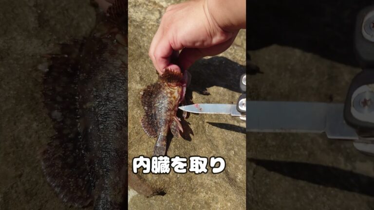 釣ってツマミつくる