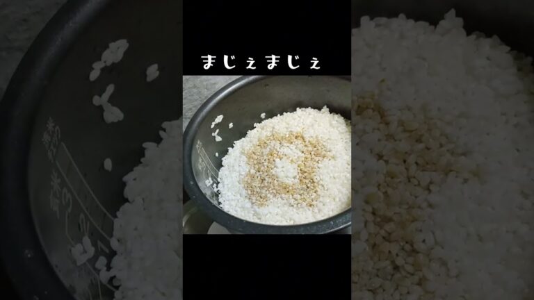 【炊飯器】炊飯器で鯛めし鯛のアラで　#shorts
