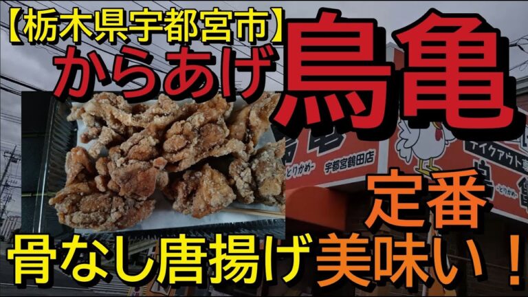 【栃木県宇都宮市】鳥亀の骨なし唐揚げでお酒を飲む