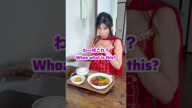 インド人妻にスープカレー出したら、、