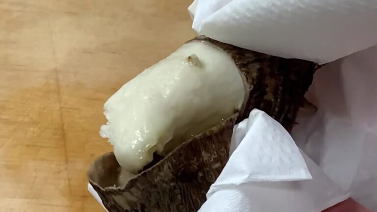 里芋の皮むきは電子レンジで超簡単！#概要欄もご覧ください