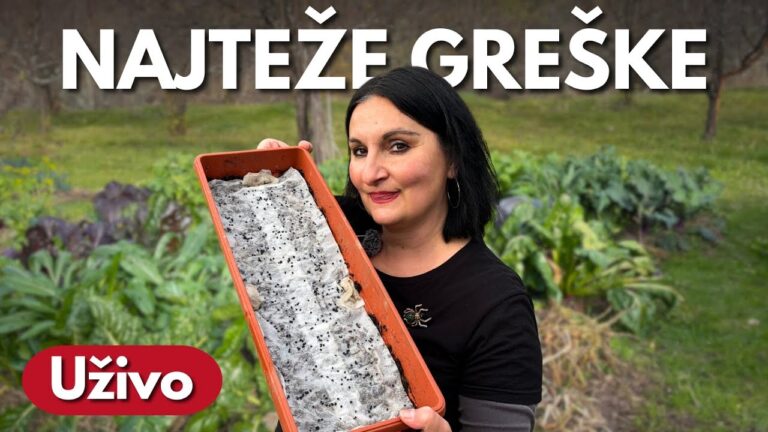 Najveće Greške Kod Uzgoja Presade - UŽIVO TRIBINA