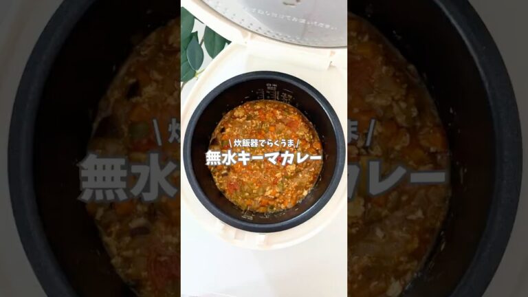 無水キーマカレー