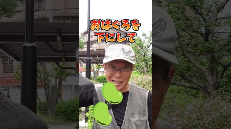 家庭菜園や農園のソラマメ栽培で種まき時期に注意する作業とそら豆の育て方！【農家直伝】#shorts