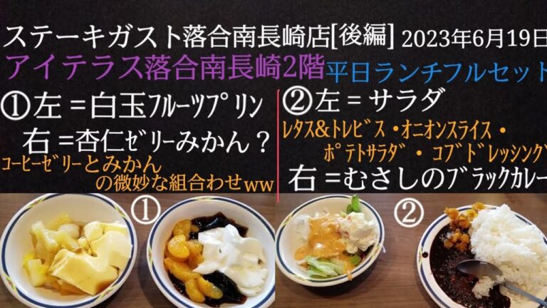 アイテラス落合南長崎【ステーキガスト〈後編〉】すかいらーくグループ／平日ランチフルセットのデザート・むさしのブラックカレー・サラダ、2023年6月19日