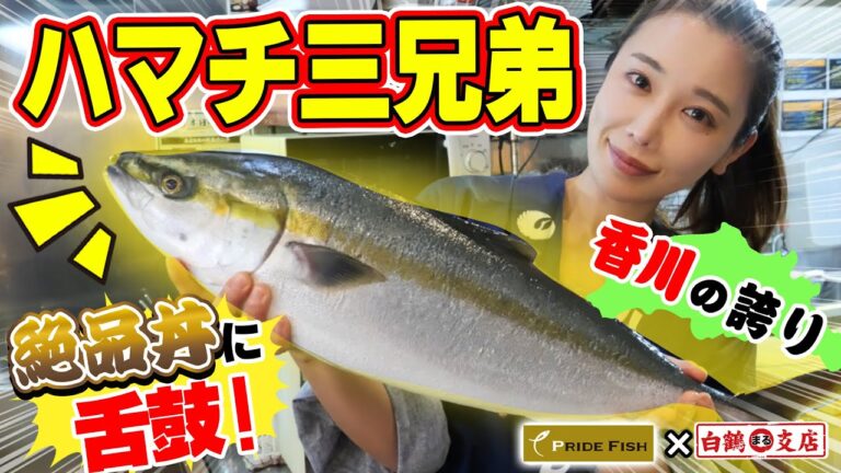 【魚屋の森さん】ハマチ三兄弟で絶品丼！プリプリで脂たっぷり！森さん、連続の捌きは圧巻！刺身にカマ焼きに三食丼と香川の誇りを全力で堪能！【PRIDE FISH】